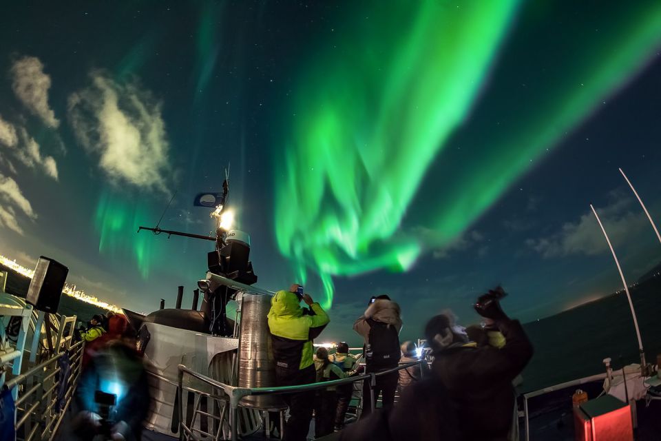 Reykjavik: Northern Lights Guided Boat Tour - Leaving Reykjavik’s glow: the Old Harbour boat experience