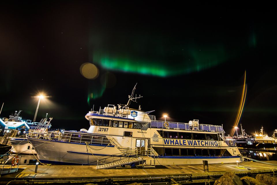 Reykjavik: Northern Lights Guided Boat Tour - When the aurora is shy: what you’ll do on sea nights