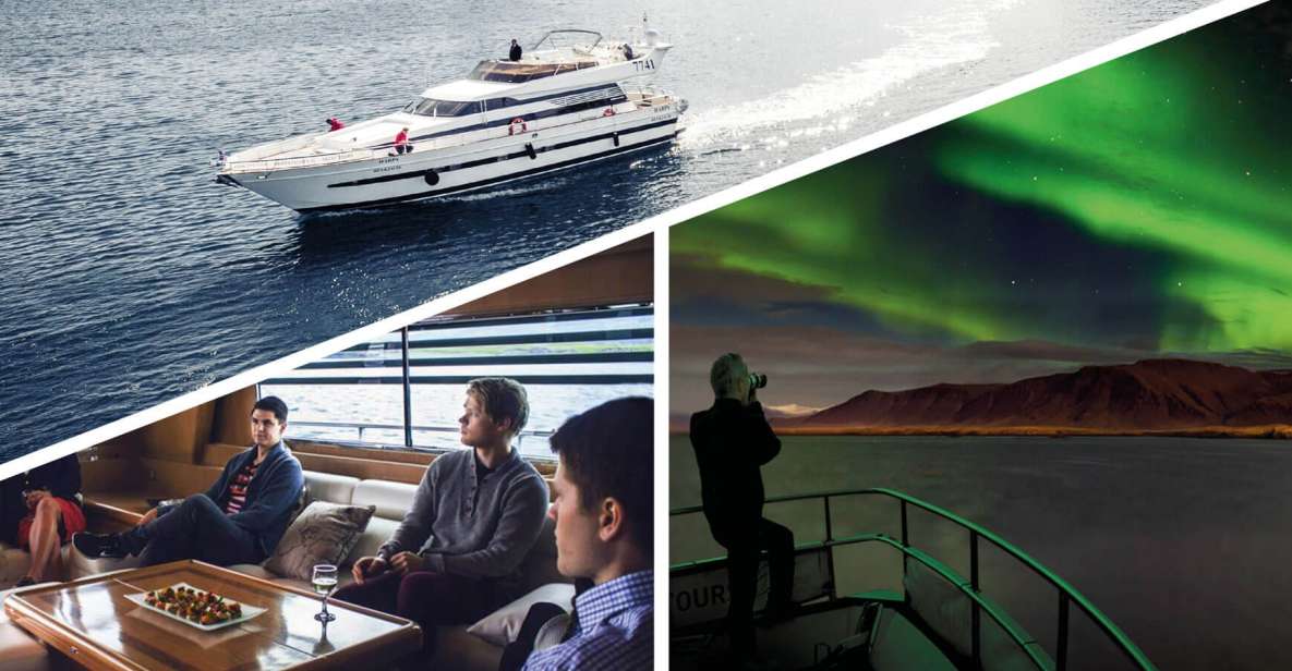 Reykjavik: Northern Lights Motor Yacht Cruise - The landmarks you pass: Harpa and Sun Voyager at night