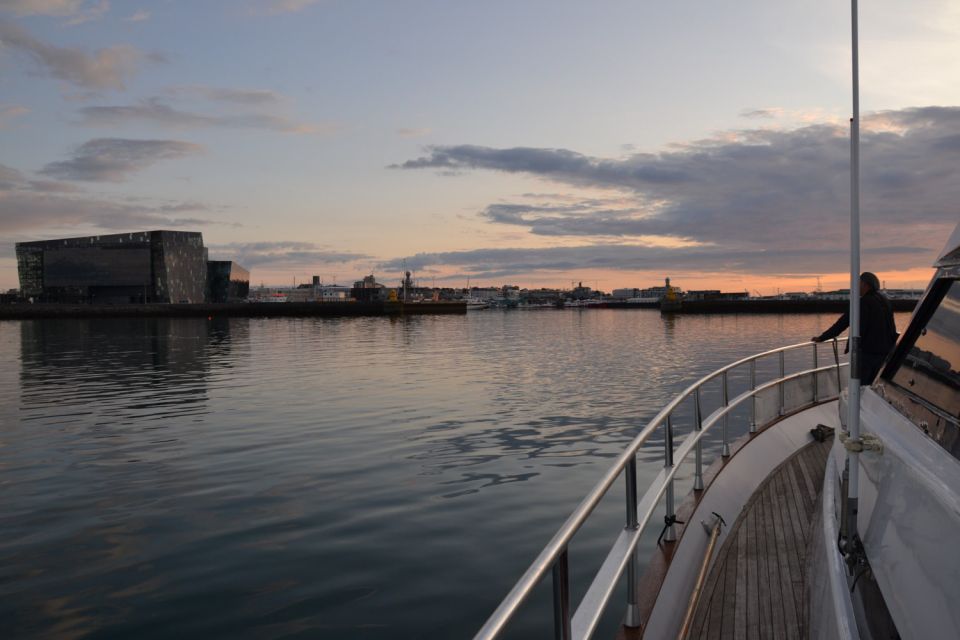 Reykjavik: Northern Lights Motor Yacht Cruise - MY Harpa vs MY Amelia Rose: group size and comfort you’ll actually feel