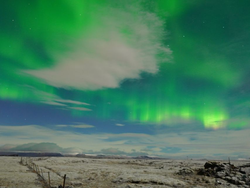 Reykjavik: Northern Lights Tour w/Pro Photos - Small Group - Price and Value at $148 for 4 Hours