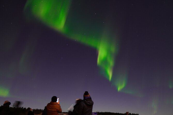 Reykjavik Northern Lights Tour with Pro Aurora Photos Small Group - Weather Reality: The One Thing Nobody Can Guarantee