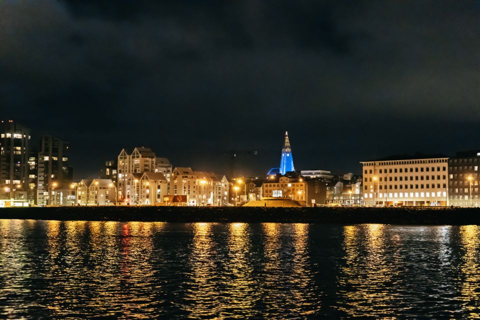 Reykjavik: Northern Lights Yacht Tour - The guide makes or breaks it: aurora spotting plus photo guidance