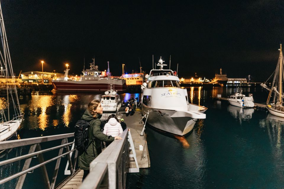Reykjavik: Northern Lights Yacht Tour - When you might not see the lights (and what “free reschedule” really means)