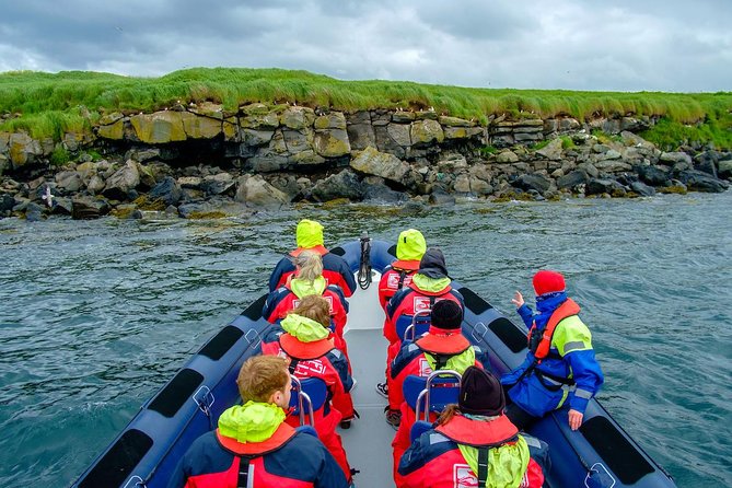 Reykjavik Premium Puffin tour | Close Up and Personal - Photography help: phones, binoculars, and shared guide photos