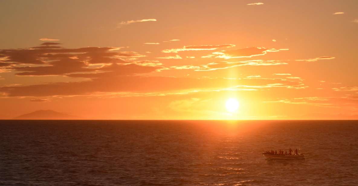 Reykjavik: Premium Whale and Puffin Watching Evening Tour - Guides, Safety Gear, and the Details That Improve Your Odds