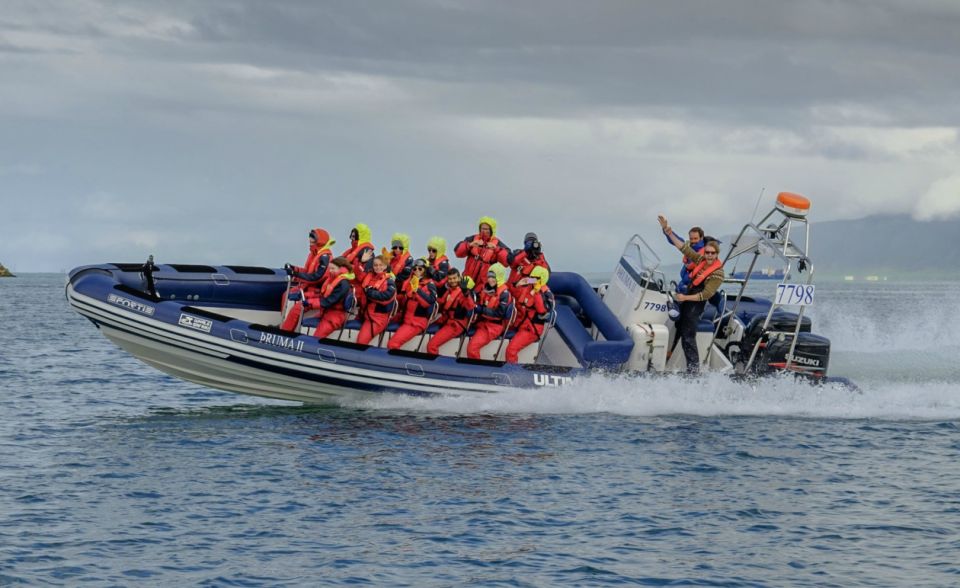 Reykjavik: Premium Whale Watching with Flexible Ticket - Meeting at Aegisgardur: the fast start before the sea gets loud