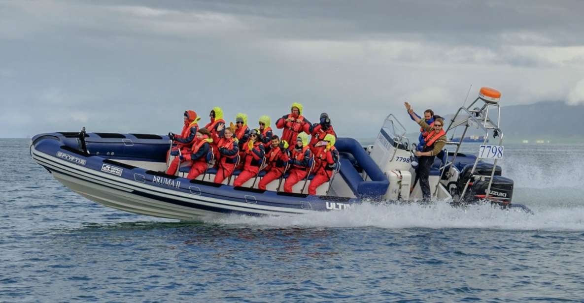 Reykjavik: Premium Whale Watching with Flexible Ticket - Why Faxaflói Bay from Reykjavík works for whale spotting