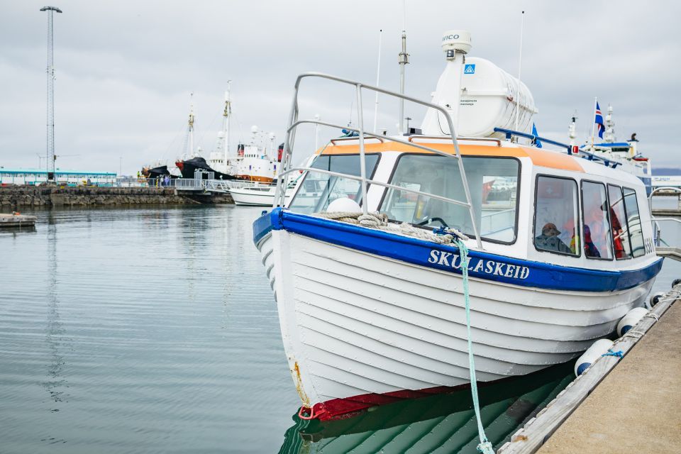 Reykjavik: Puffin Watching Boat Tour - Who This Tour Fits Best
