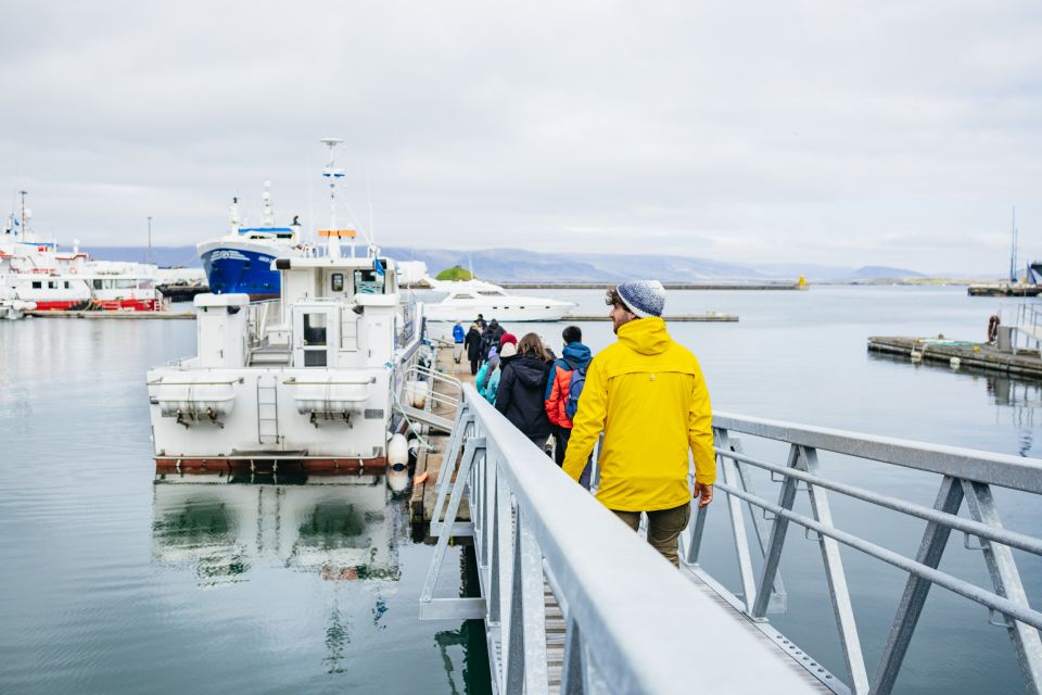 Reykjavik: Puffin Watching Boat Tour - The “100% Sightings Guaranteed” Part—What It Means for You