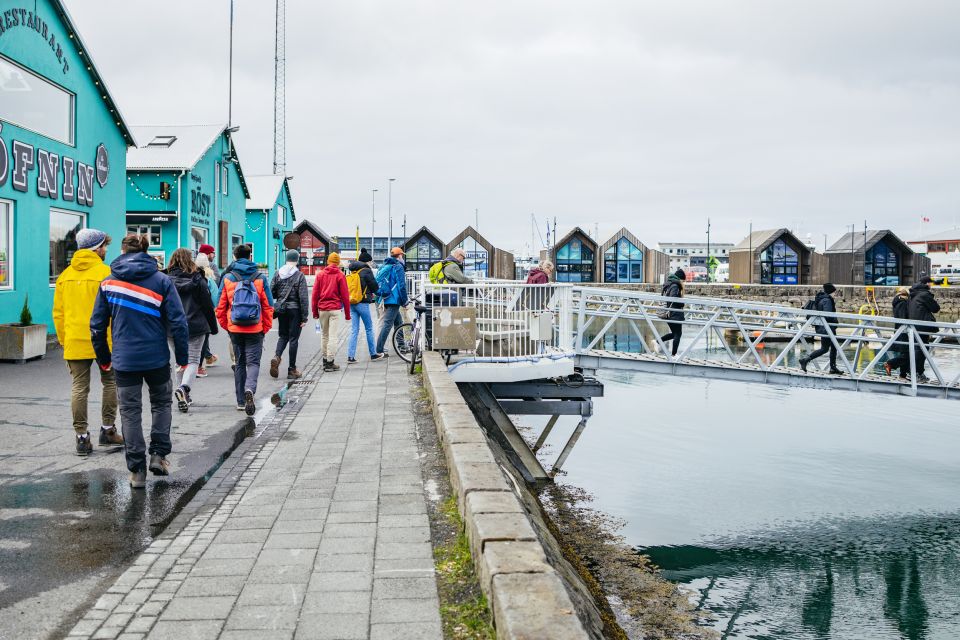 Reykjavik: Puffin Watching Boat Tour - Price and Value: $64 for an Hour at Sea