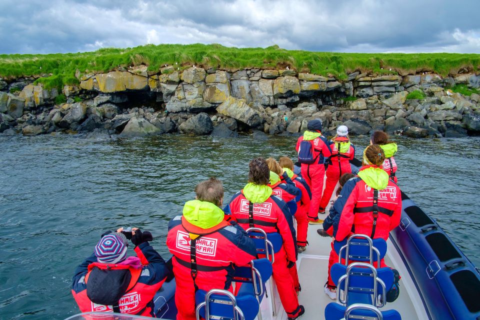 Reykjavik: Puffin Watching Tour - Reykjavík Puffin Watching: A Short Cruise With Real Wildlife Payoff