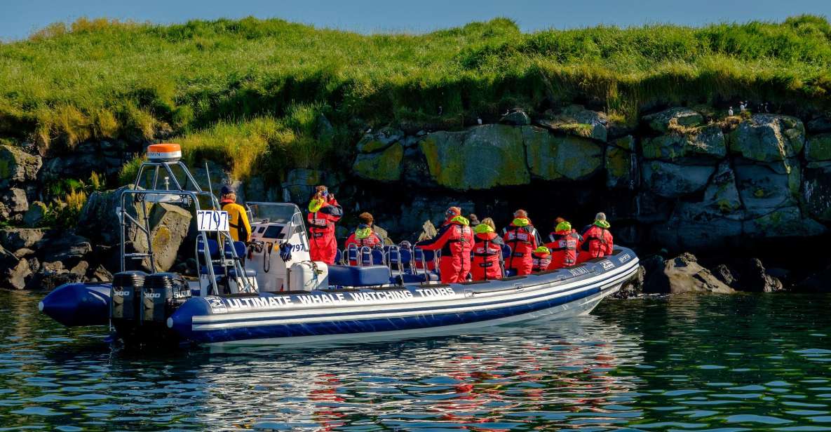Reykjavik: Puffin Watching Tour - The 1-Hour Boat Ride: How to Get the Best Views While You Watch