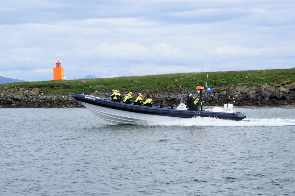 Reykjavik: Puffin Watching Tour by RIB Speedboat - Key Points I’d Put on Your Radar
