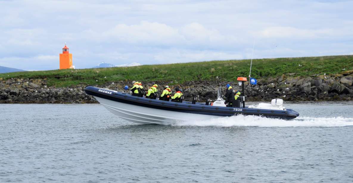 Reykjavik: Puffin Watching Tour by RIB Speedboat - Old Harbor Departure: Getting Ready for a Speedy Sea-Run