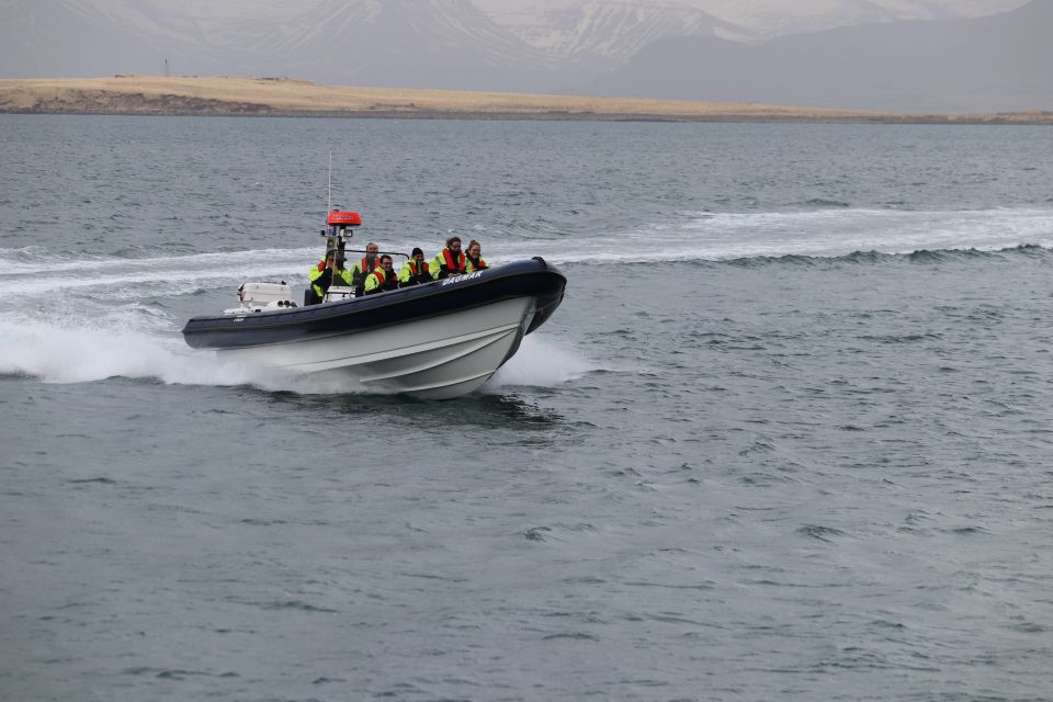 Reykjavik: Puffin Watching Tour by RIB Speedboat - Your Guide and the Bird-Spotting Lesson Plan
