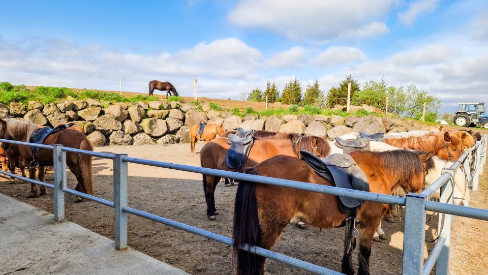 Reykjavik: Red Lava Horse Riding Tour - The ride itself: Redhills paths and Rauðarvatn for the more confident