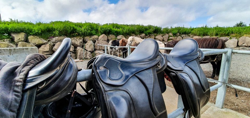 Reykjavik: Red Lava Horse Riding Tour - The red lava rocks photo stop: where the “wow” clicks