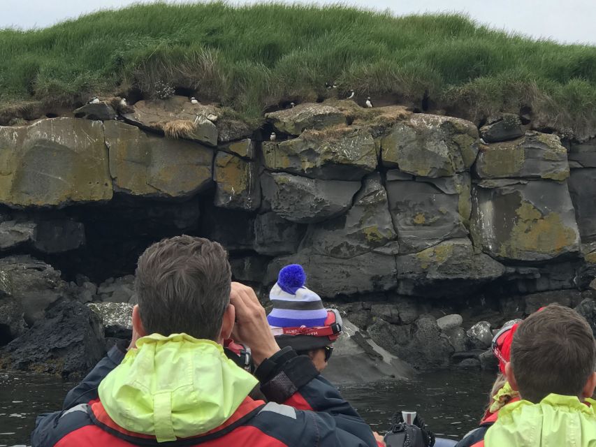 Reykjavík: RIB Speed-Boat Puffin Watching Tour - Price and Value: Is $81 Worth It?
