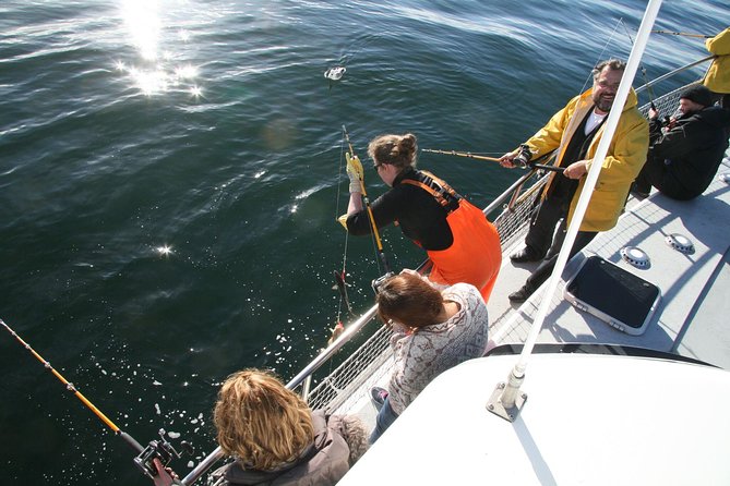 Reykjavik Sea Angling Gourmet - Reykjavik sea angling with a fish-to-table BBQ lunch