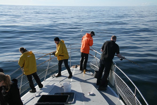 Reykjavik Sea Angling Gourmet - The crew teaching you fast: brother-team help, English, and patience