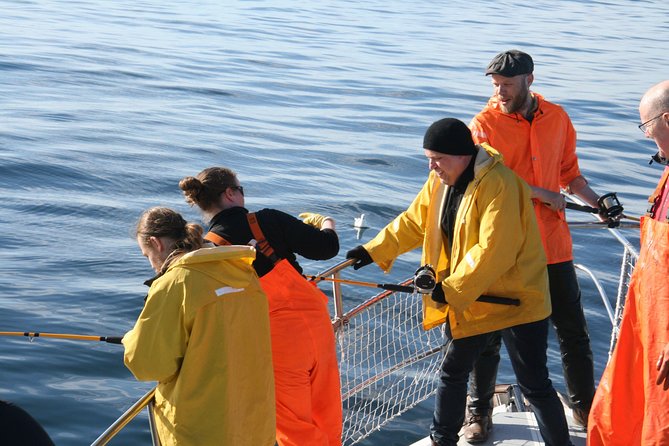 Reykjavik Sea Angling Gourmet - Weather, motion sickness, and staying comfortable out on the drift