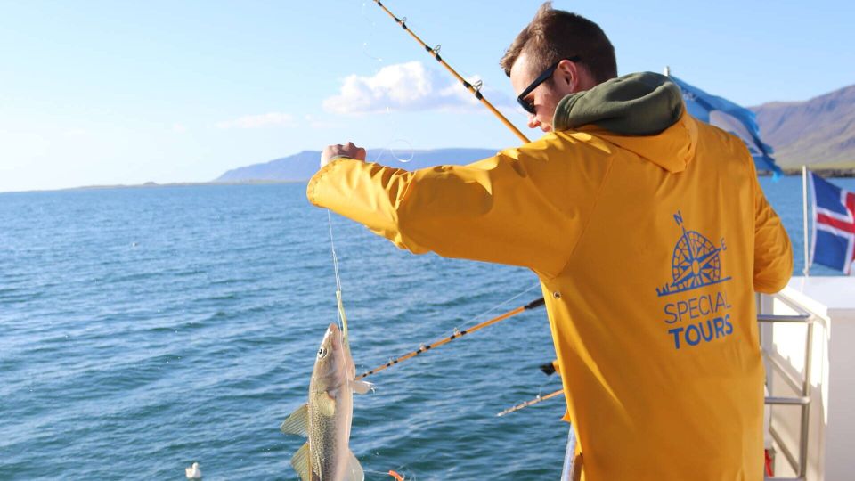 Reykjavik: Sea Fishing Boat Tour & BBQ with the Day's Catch - Logistics that affect your experience (pickup, timing, and what to plan for)