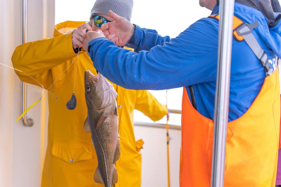 Reykjavik: Sea Fishing Boat Tour & BBQ with the Day's Catch - Key things I’d circle in the fine print