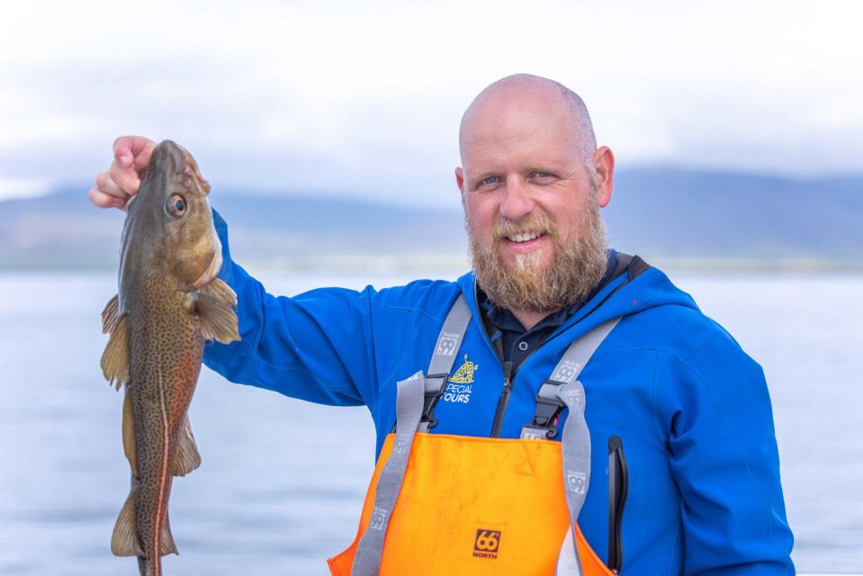 Reykjavik: Sea Fishing Boat Tour & BBQ with the Day's Catch - What fish you can expect off the Icelandic coast