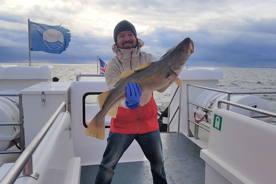 Reykjavik: Sea Fishing Boat Tour & BBQ with the Day's Catch - Puffins, whales, and the Iceland ocean show from your deck