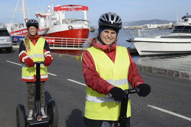 Reykjavik Segway Tour - Getting comfortable on the Segway: safety and instruction that actually helps