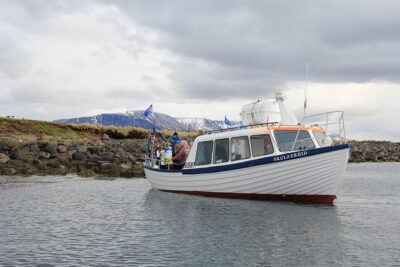 Reykjavik Shore Excursion: Puffin Sightseeing Cruise - The 15-minute ride out: where the bird talk starts