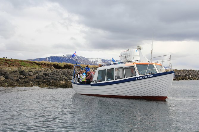 Reykjavik Shore Excursion: Puffin Sightseeing Cruise - The 15-minute ride out: where the bird talk starts