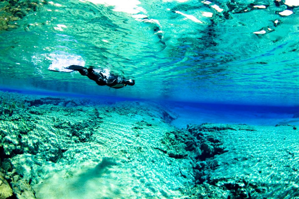 Reykjavík: Silfra Fissure Snorkeling and Lava Caving Tour - Price and Value: Is $202 Worth It?
