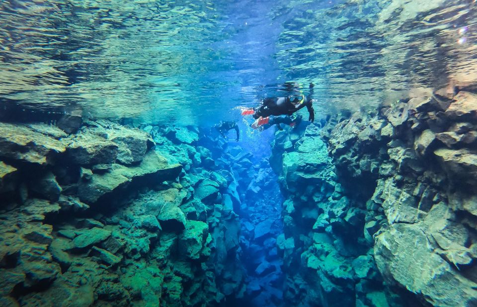 Reykjavík: Silfra Fissure Snorkeling between Two Continents - Should You Book Silfra Snorkeling with Arctic Adventures?