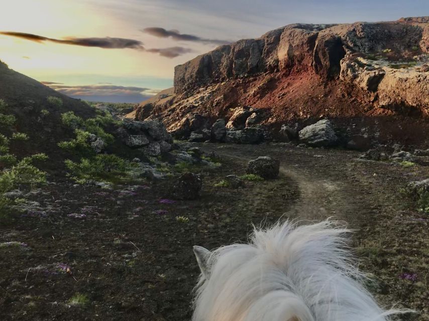 Reykjavik: Small-Group Horse Volcano Riding Tour with Pickup - Price and what you actually get for $191