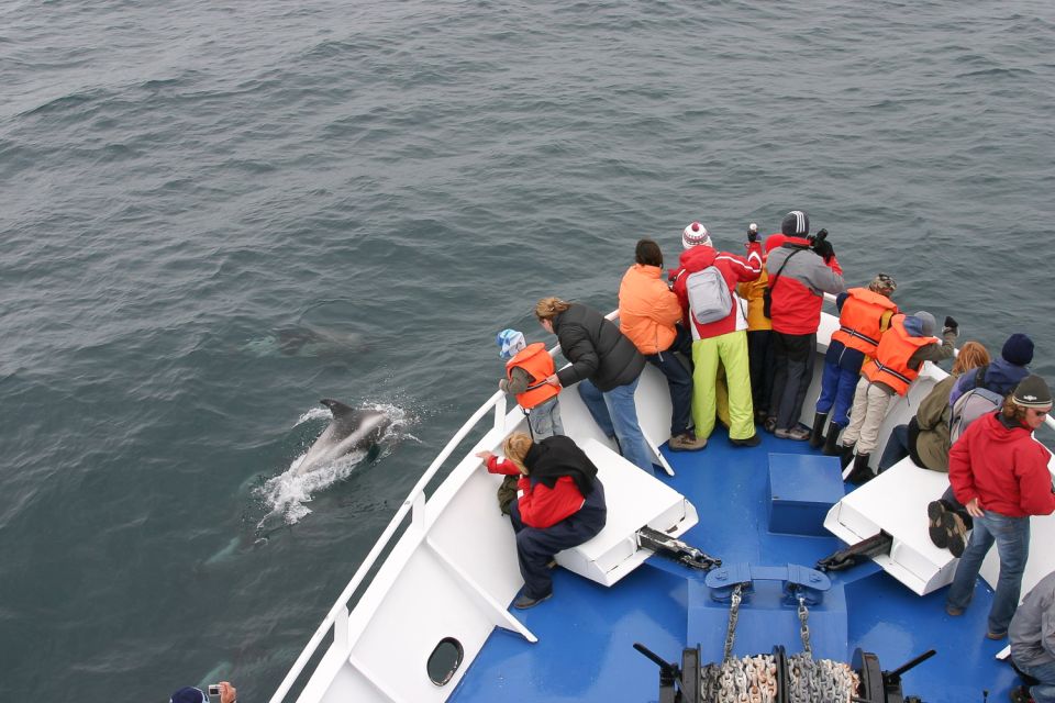Reykjavik: the Original 3-Hour Whale Watching Tour - The boat experience: decks, warmth, and how to choose your spot