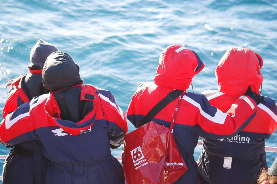 Reykjavik: the Original 3-Hour Whale Watching Tour - Responsible whale watching: what they do to protect the animals