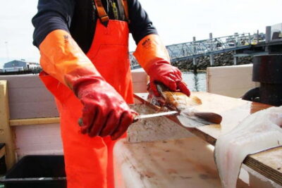 Reykjavik: Traditional Sea Fishing with BBQ Feast - 3 Hours at Sea: How the Timing Works
