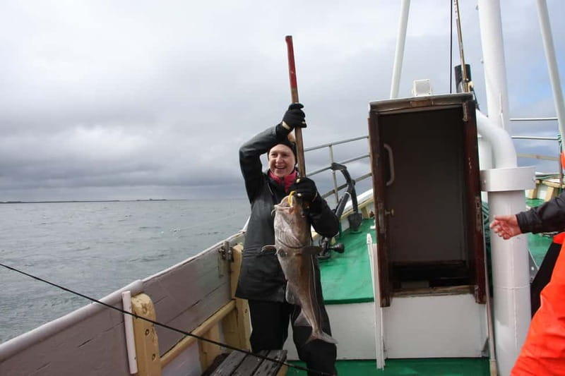 Reykjavik: Traditional Sea Fishing with BBQ Feast - Waterproof Clothing and Cold-Water Comfort Tips