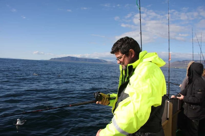Reykjavik: Traditional Sea Fishing with BBQ Feast - Who This Tour Is Best For (and Who Should Rethink)