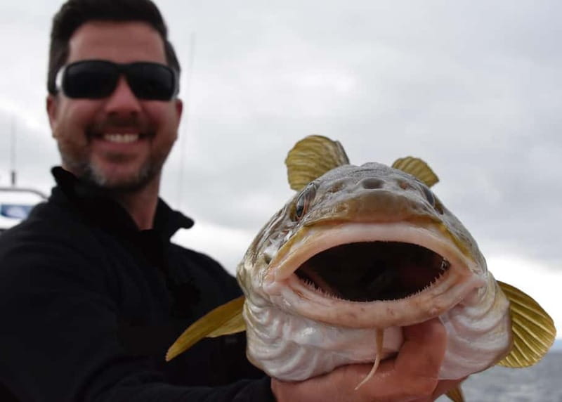 Reykjavik: Traditional Sea Fishing with BBQ Feast - FAQ