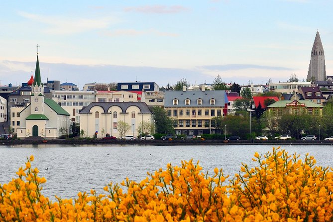 Reykjavik Walking Tour - Walk with a Viking - Austurvöllur Square: Where Locals Pause and Visitors Blend In