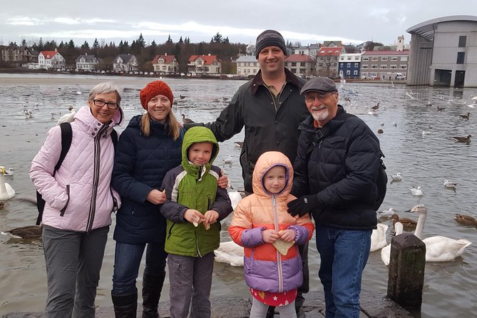 Reykjavik Walking Tour - Walk with a Viking - Reykjavik City Hall and Alþingi: Democracy You Can Walk Past