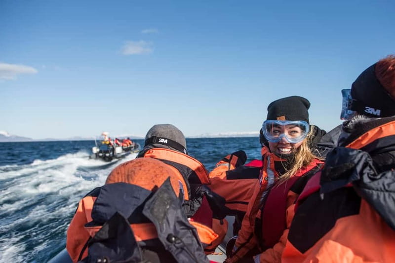Reykjavik: Whale and Puffin Watching RIB Boat Tour - Puffins on the Islands: What the Island Stop Really Means