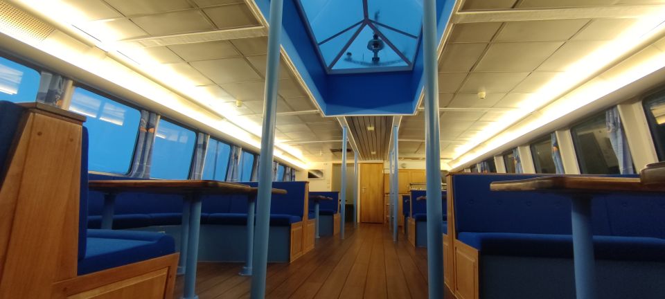 Reykjavik: Whale & Marine Adventure Tour - Inside vs. outside: the comfort strategy that makes this tour work