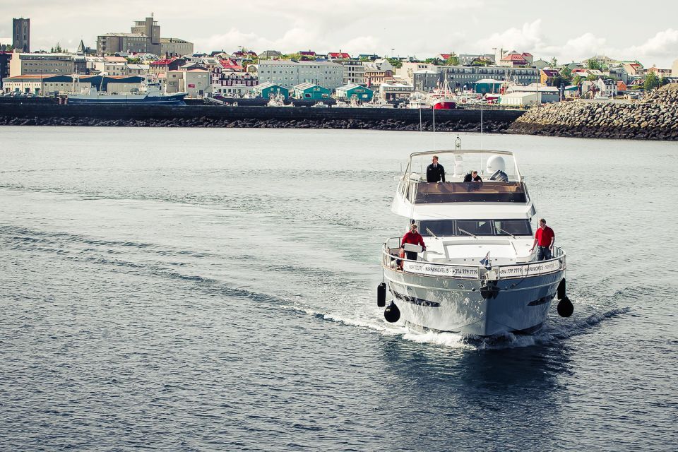 Reykjavik: Whale Watching and Dolphin Watching Yacht Cruise - The Boats: MY Harpa vs MY Amelia Rose (And Why Size Matters)
