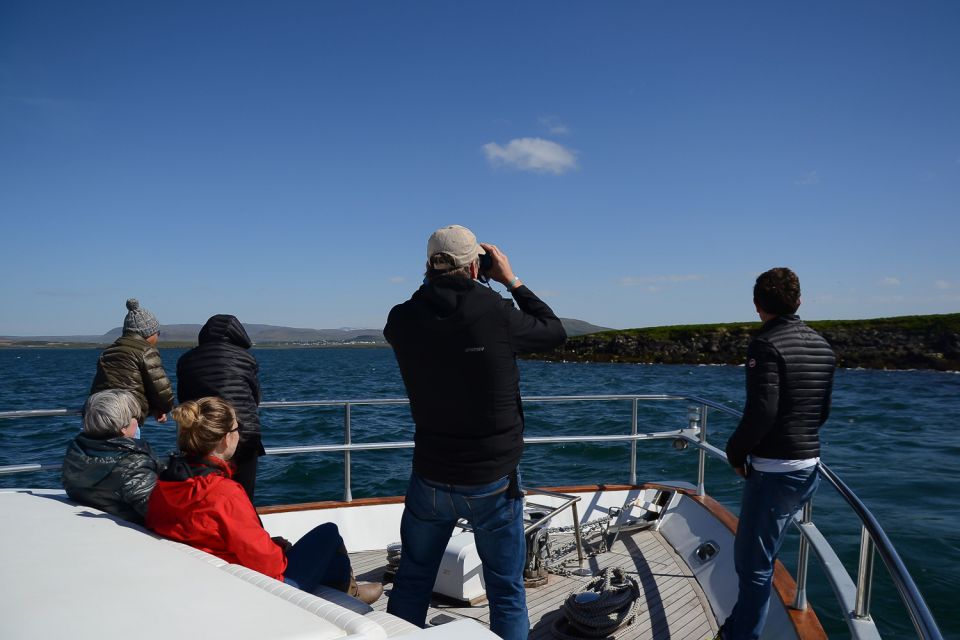 Reykjavik: Whale Watching and Dolphin Watching Yacht Cruise - Comfort on a Cold Cruise: Blankets, Hot Chocolate, and Staying Warm