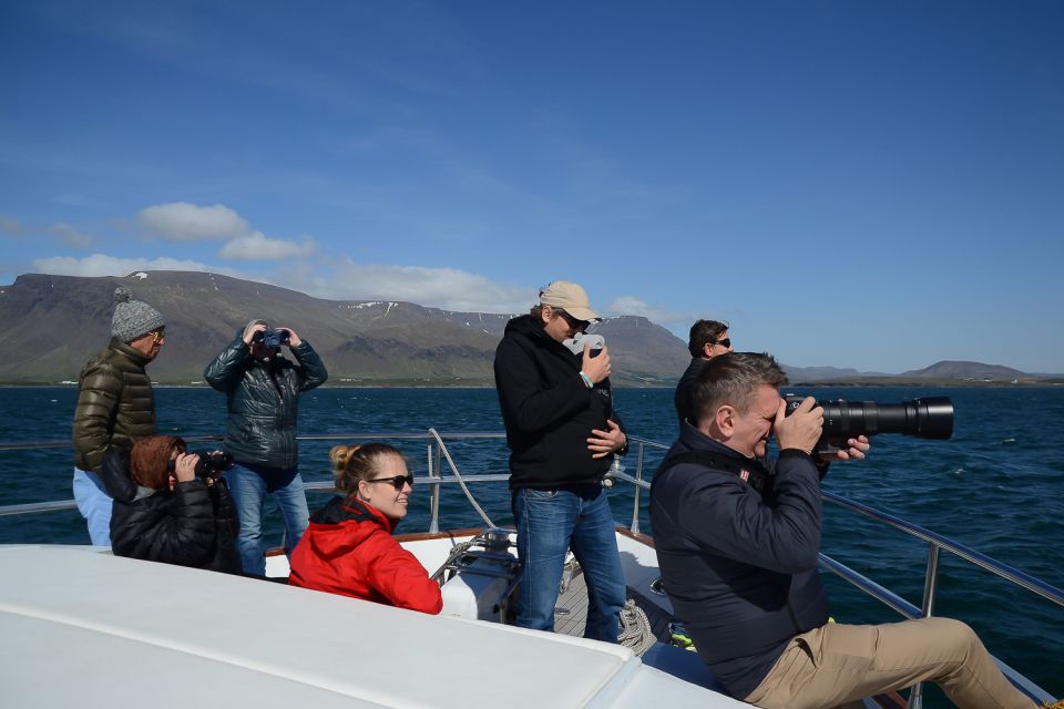 Reykjavik: Whale Watching and Dolphin Watching Yacht Cruise - The Scenery Bonus: Reykjavik From Sea Level