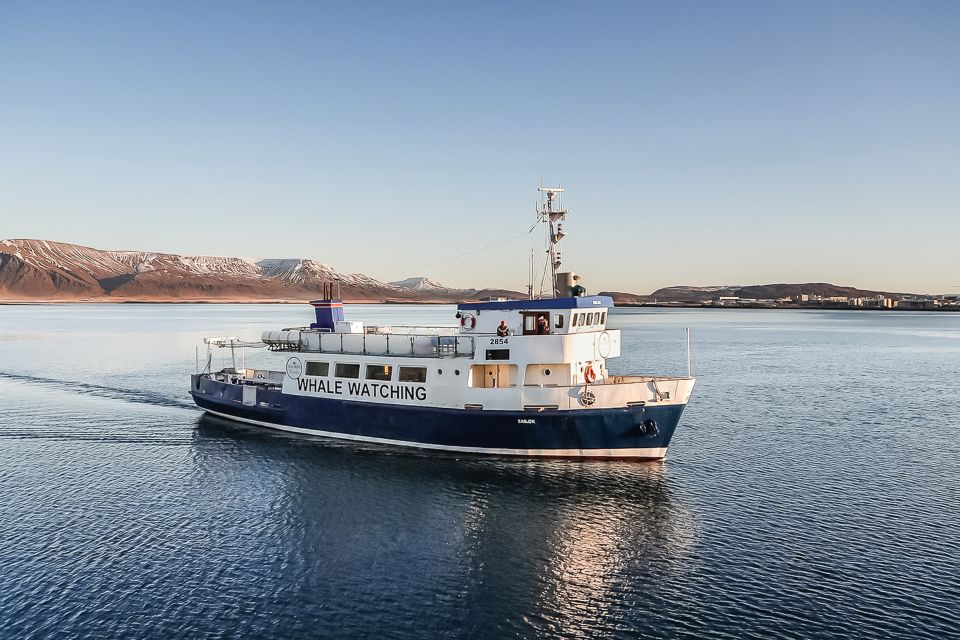 Reykjavík: Whale Watching and Marine Life Cruise - Key Points That Matter on This Reykjavik Whale Cruise